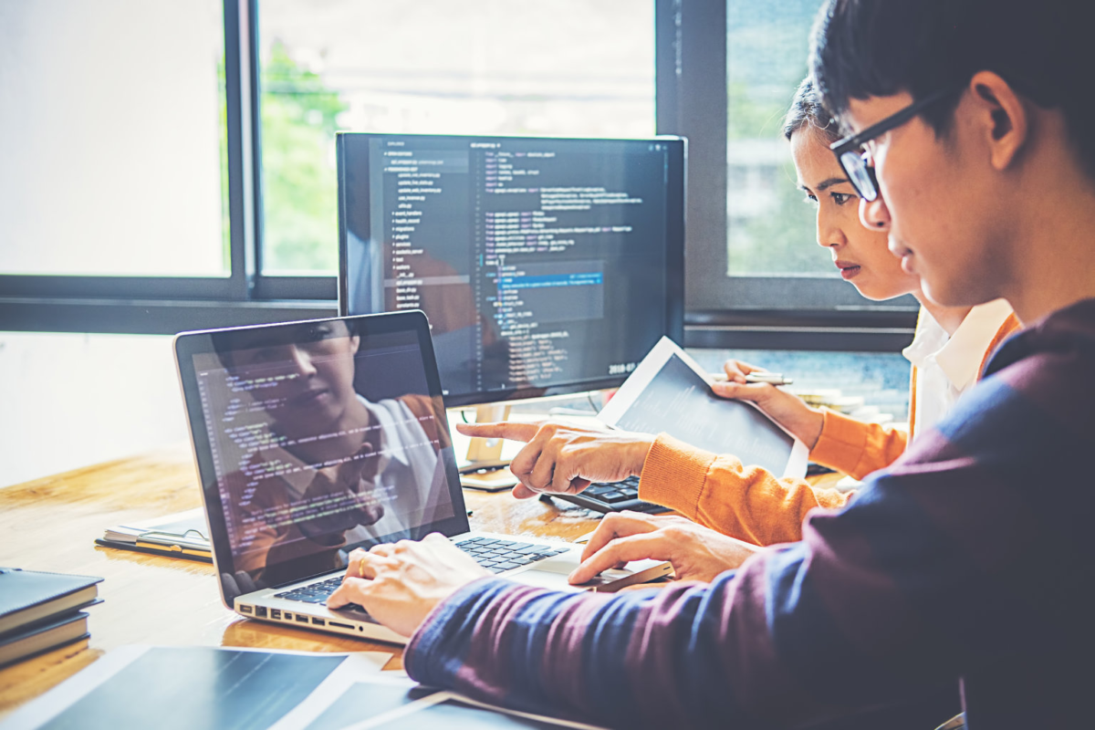 Professional Web Development Services in New Zealand