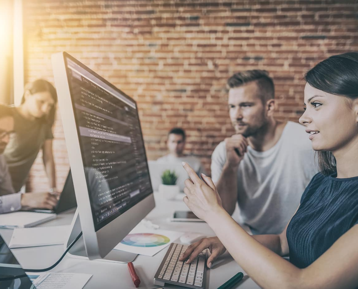 Professional Web Development Services in New Zealand